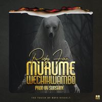 Ricky Fire - Murume Wechikwambo