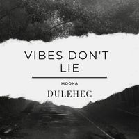 Dulehec - Vibes Don't Lie
