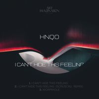 HNQO - I Can't Hide This Feeling