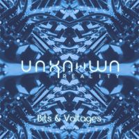 Unknown Reality - Bits & Voltages