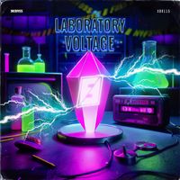 Fourty Ast - Laboratory Voltage