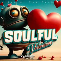Bourer The Funk - Soulful Vibrations