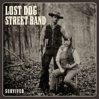 Lost Dog Street Band - Brighter Shade