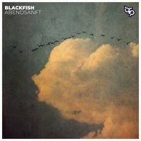 Blackfish - Abendsanft