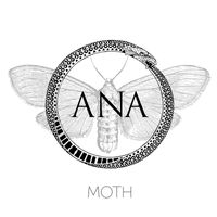 Ana - Moth