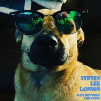 Steven Lee Lawson - Mist Between The Stops