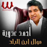 Ahmed Adaweya - موال بنت البلد