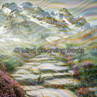 Meditation Spa - 41 Mind Cleansing Tracks