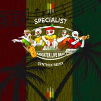 RAGGATEK LIVE BAND - Specialist (Synthex Remix)
