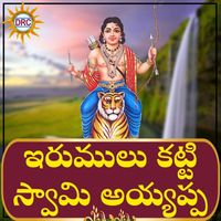 Srinivas - Irumulu Katti Swami Ayyappa