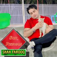Shah Farooq - Sor Pezwan