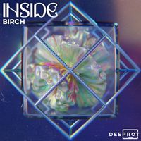 Birch - Inside