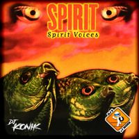 Spirit - Spirit Voices (2023 Remaster)