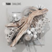 tsou - Shallows
