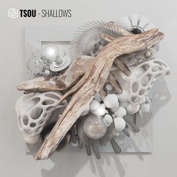 tsou - Shallows