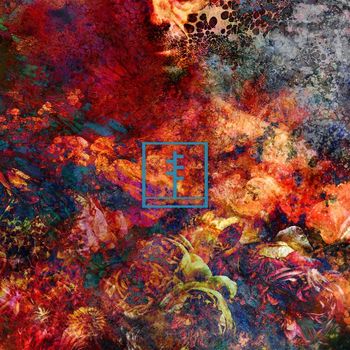 Frail Body - Devotion