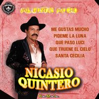 Nicasio Quintero - Me Gustas Mucho