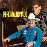 Pepe Maldonado - Corazón Compañero