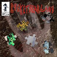 Buckethead - Interstellar Slunk