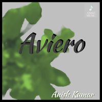 Anish Kumar - Aviero