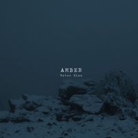 Peter Ries - Amber