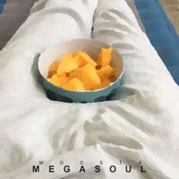 Woosta - Megasoul