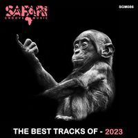 Various Artist - THE BEST TRACKS OF 2023