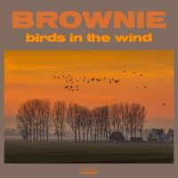 Brownie - birds in the wind