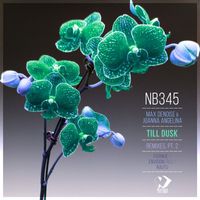 Max Denoise and Joanna Angelina - Till Dusk: Remixes, Pt. 2