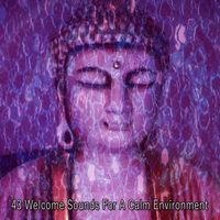 Brain Study Music Guys - 43 Welcome Sounds For A Calm Environment