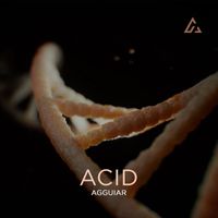 Agguiar - Acid