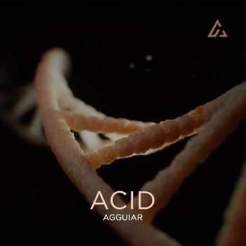 Agguiar - Acid (Extended)