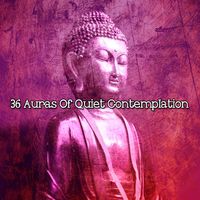 Meditation Spa - 36 Auras Of Quiet Contemplation
