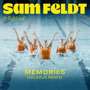 Sam Feldt - Memories (Valexus Remix)