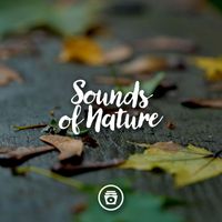 Nature Therapy - Sounds Of Nature