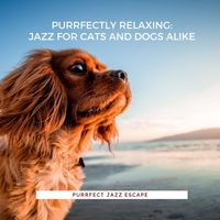 Purrfect Jazz Escape - Purrfectly Relaxing: Jazz for Cats and Dogs Alike