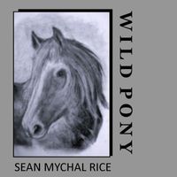 Sean Mychal Rice - Wild Pony