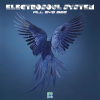 Electrosoul System - All Eye Bee