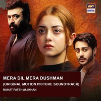 Rahat Fateh Ali Khan - Mera Dil Mera Dushman (Original Motion Picture Soundtrack)