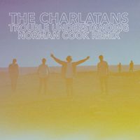 The Charlatans - Trouble Understanding (Norman Cook Remix)