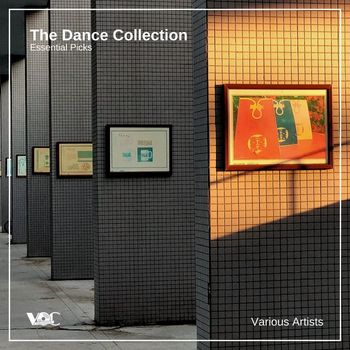 Various Artists - The Dance Collection