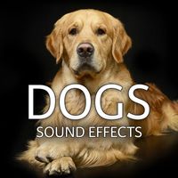 Sound Ideas - Dogs Sound Effects