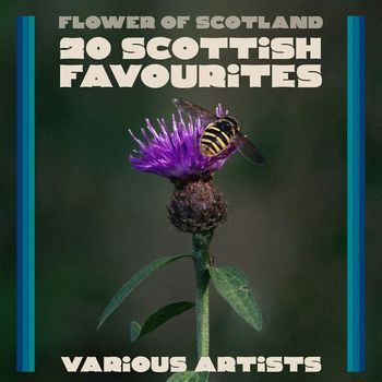 Various Artists - Flower Of Scotland - 20 Scottish Favourites