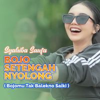 Syahiba Saufa - Bojo Setengah Nyolong (Bojomu Tak Balekno Saiki)