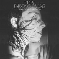Birdy - Paradise Calling (Henri Bergmann Remix)