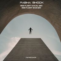Pasha Shock - High Flight