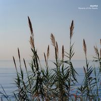 blushful - Reverie of the Reeds