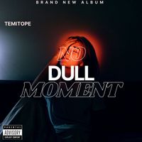 Temitope - No Dull Moment (Explicit)