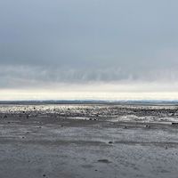Paraphonique - Frobisher Lane