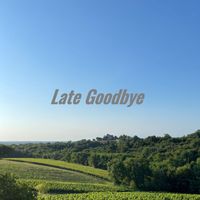 Daniel Beaven - Late Goodbye